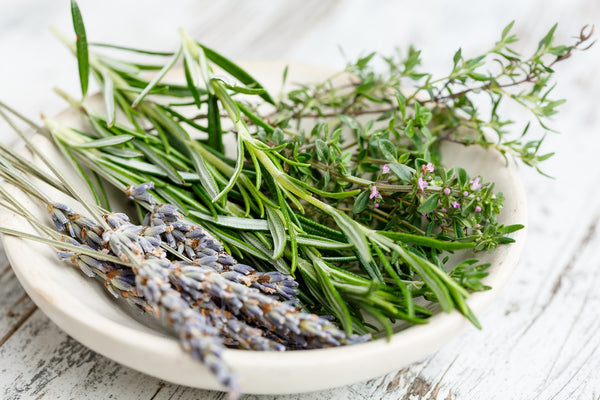 Benefits of herbs & spices found in tea